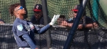 Tiburones en el Spring Training
