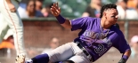 18 escualos en el Spring Training